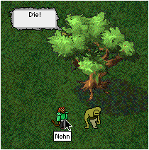 Tree with an Attitude